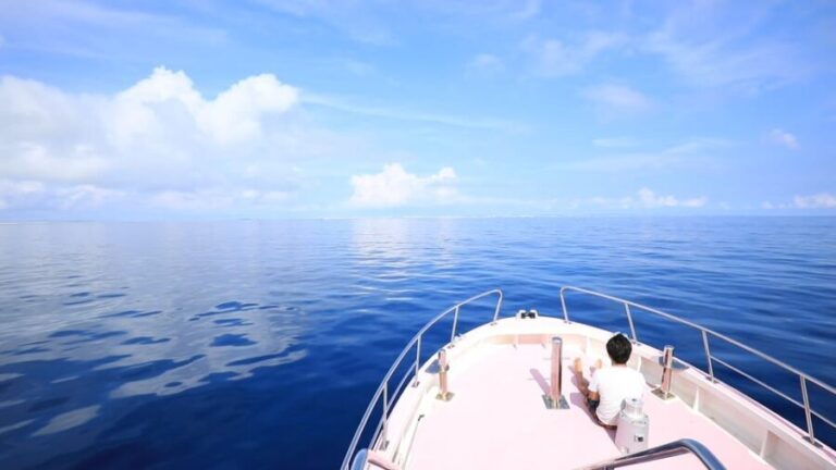 Naha, Okinawa: Kerama Islands Half-Day Whale Watching Tour - Breaking Down the Itinerary
