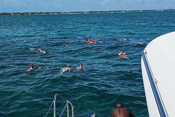 Nassau 3-stops: Snorkeling, Swimming Pigs, Turtles & Lunch - The Boat and Comfort