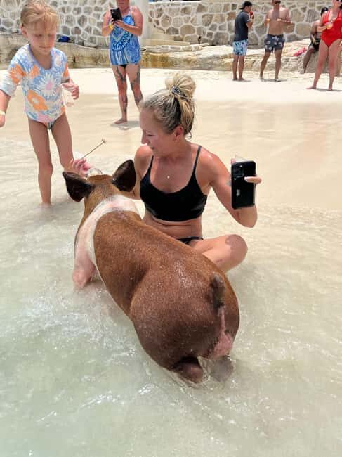 Nassau: Pigs, Snorkel, Turtles, Lunch, Private Beach Club - Second Stop: Green Cay and Turtle Watching