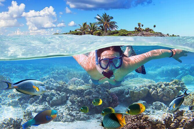 Nassau: Private Island & Snorkeling, Turtles, Drinks & BBQ - Final Thoughts