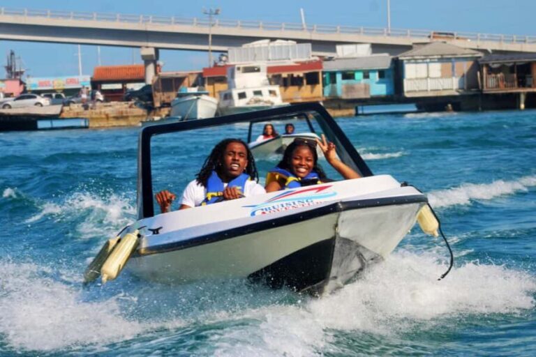 Nassau: Self-Drive Speedboat Ride and Pig Swimming Encounter - Who Will Love This Tour?