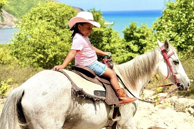 Nature & Historical Horseback Riding Tours St. Lucia - Value for Money and Authentic Experiences