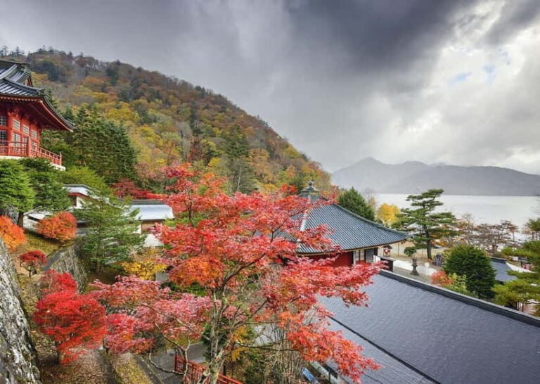 Nikko Beautiful Full-Day Personal and Private Tour - Why This Tour Is a Great Choice