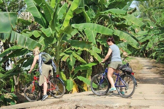 Non Touristy - Mekong Delta 1 Day With Biking - Why This Tour Resonates with Travelers