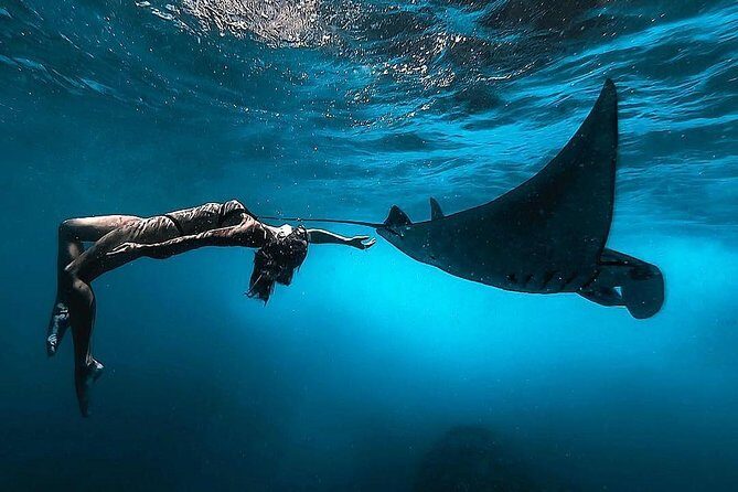 Nusa Penida Snorkeling Adventure (Private & All-Inclusive) - The Sum Up: Who’s This Tour Best For?