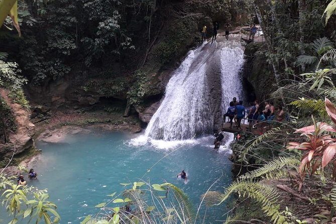 Ocho Rios Blue Hole and Dunn's River Falls Tour - Overview of the Tour Experience