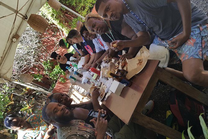 Ocho Rios For A Day / Private Customizable Tours / Jamaica Dream Vacation - The Sum Up