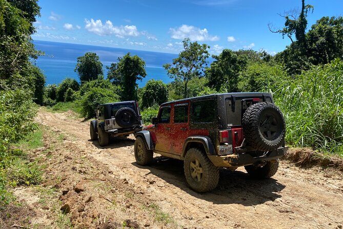 Off-Road Jeep Adventure from Carolina - The Terrain and Scenic Highlights