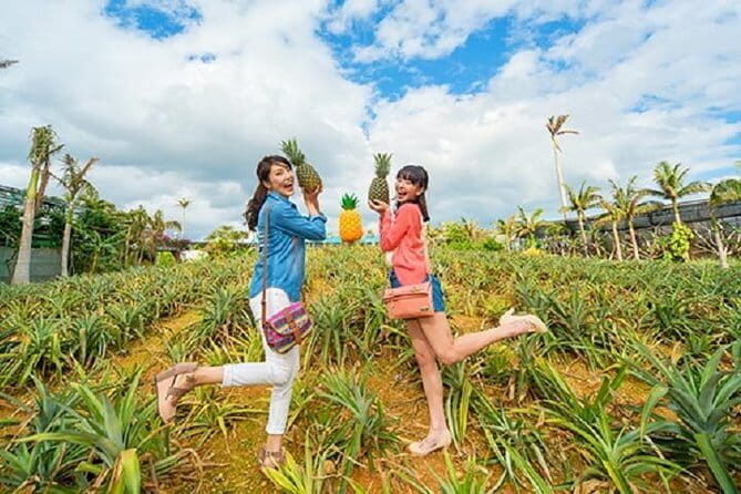 Okinawa Hip-hop Bus A Course TourChuraumi Aqualium,Kori Island - The Sum Up: Is This Tour Right for You?