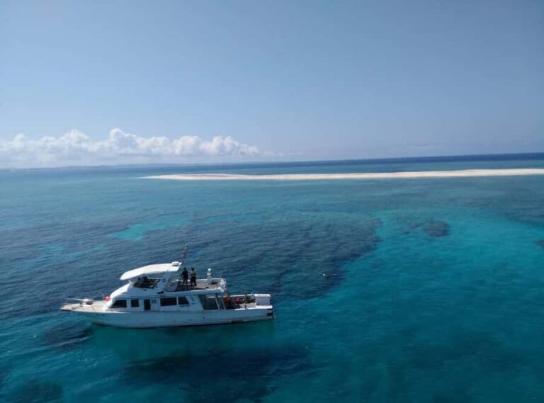 Okinawa : Kerama Whole Day Snorkeling Tour From Chatan/Naha - A Detailed Look at the Tour Experience