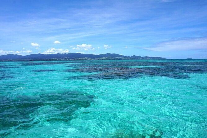One-day boat trip to the lagoon of Guadeloupe - An In-Depth Look at the Itinerary
