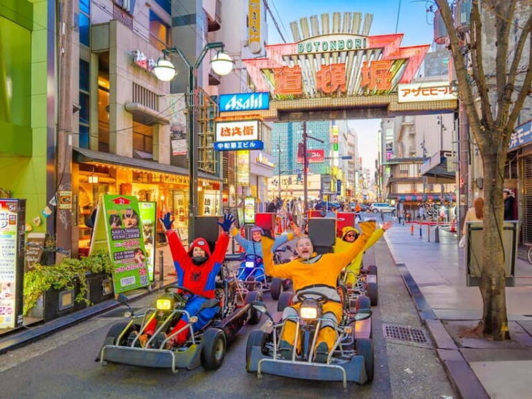 Osaka: Guided Go Karting Tour in a Funny Costume - What To Expect on the Tour