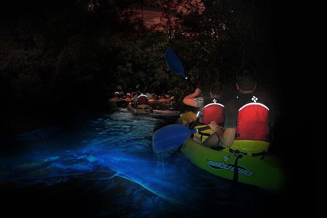 Overnight Bio Bay Kayak Tour in Vieques Island - Authentic Experiences & Honest Feedback