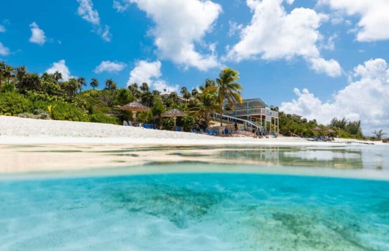 Paradise Island: Rose Island Tour with Swimming Pigs & Lunch - What Makes This Tour Stand Out