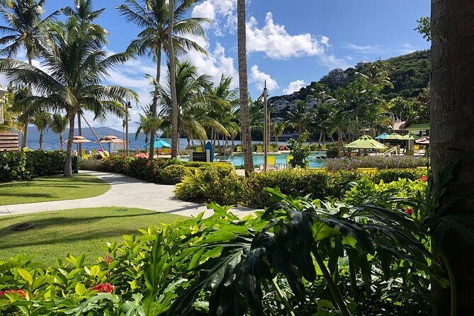 Paradise Taxi & Tours USVI-St. Thomas Airport Transfer to Wyndham Margaritaville - Who Is This Transfer Best For?