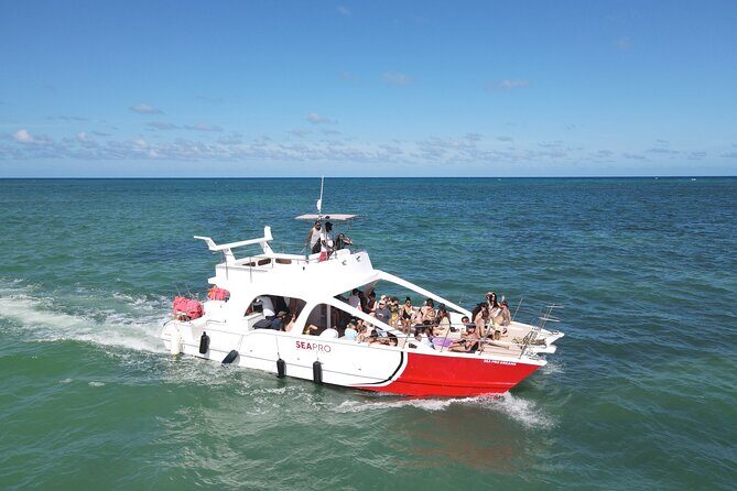 Party Boat Cruise from Punta Cana - Deep Dive into the Itinerary