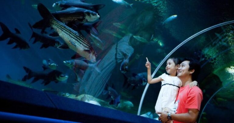 Pattaya: Underwater World Pattaya Aquarium Admission Ticket - Who Will Enjoy This Experience?