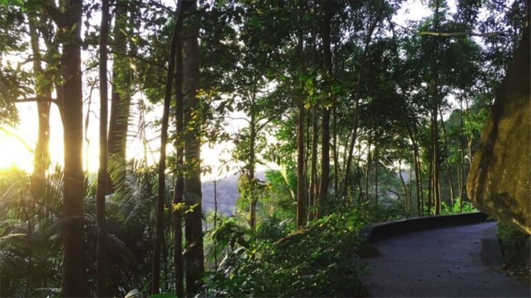 Penang: The Habitat Penang Hill Entry Ticket - Who Will Love This Experience?