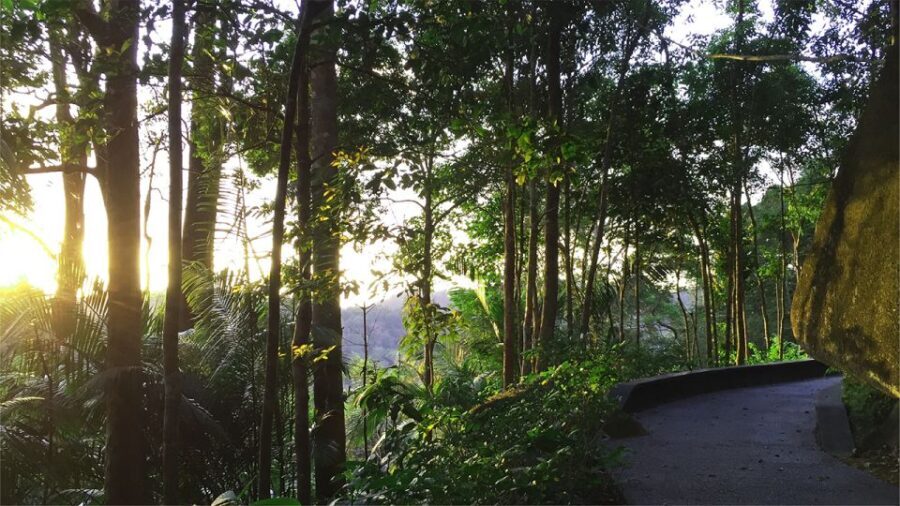 Penang: The Habitat Penang Hill Entry Ticket - Who Will Love This Experience?