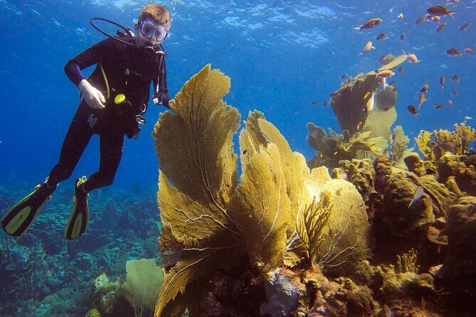 Personalized 2 Tank Guided Experience in Curaçao - FAQ