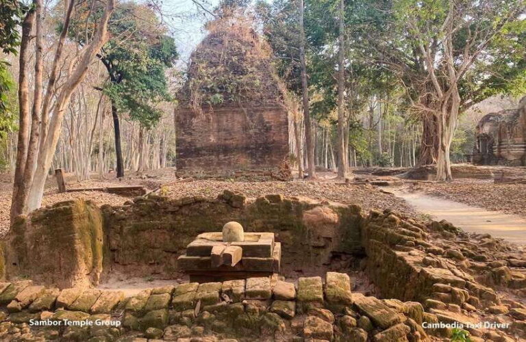 Phnom Penh - Siem Reap Road Transfer Plus Sightseeing - Transportation and Comfort