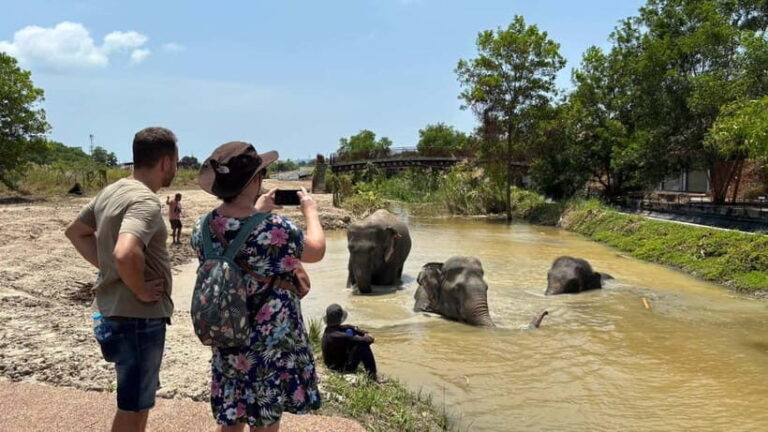 Phuket: Freedom Elephant Reserve - Ethereal Nature Walk - Who Is This Tour Best For?