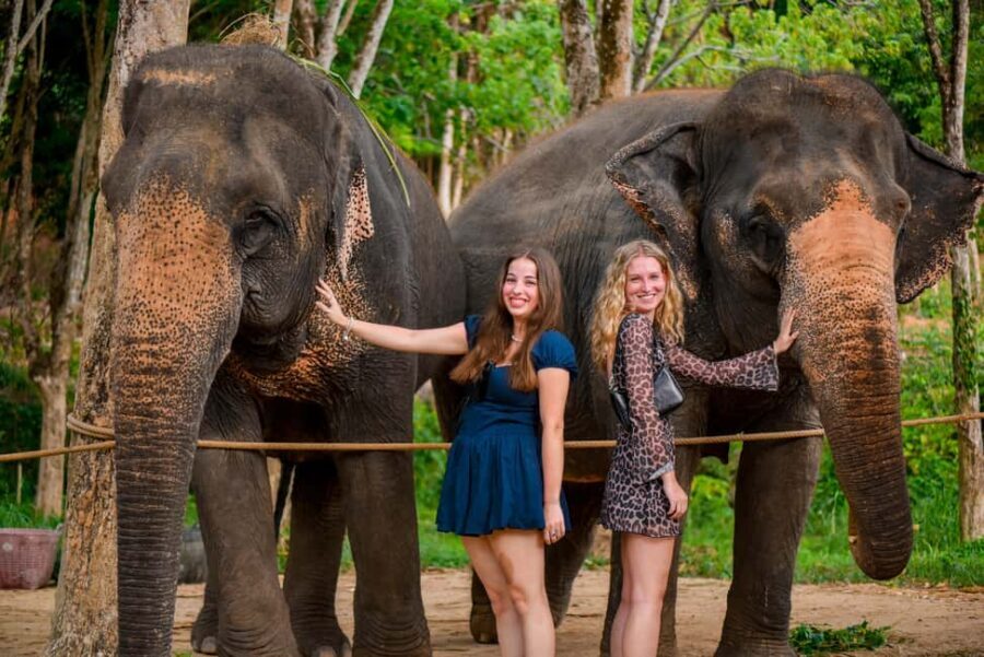 Phuket: Make & Meet The Gentle Giant Experience - The Practicalities: What to Expect