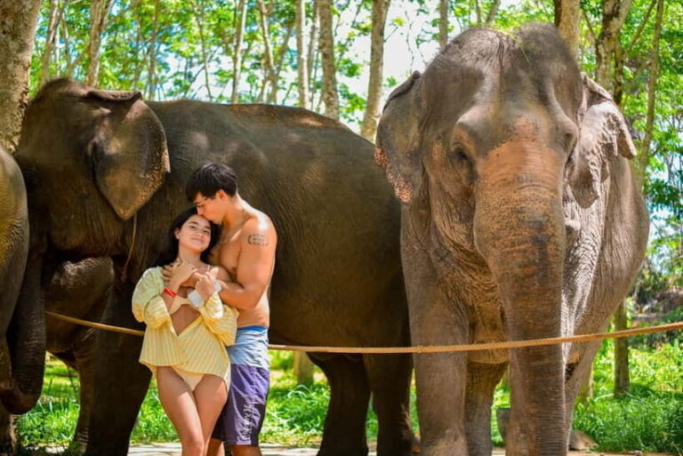 Phuket:Beach walk with elephants, rain & care. 2.5 hours - What To Expect: The Itinerary in Detail