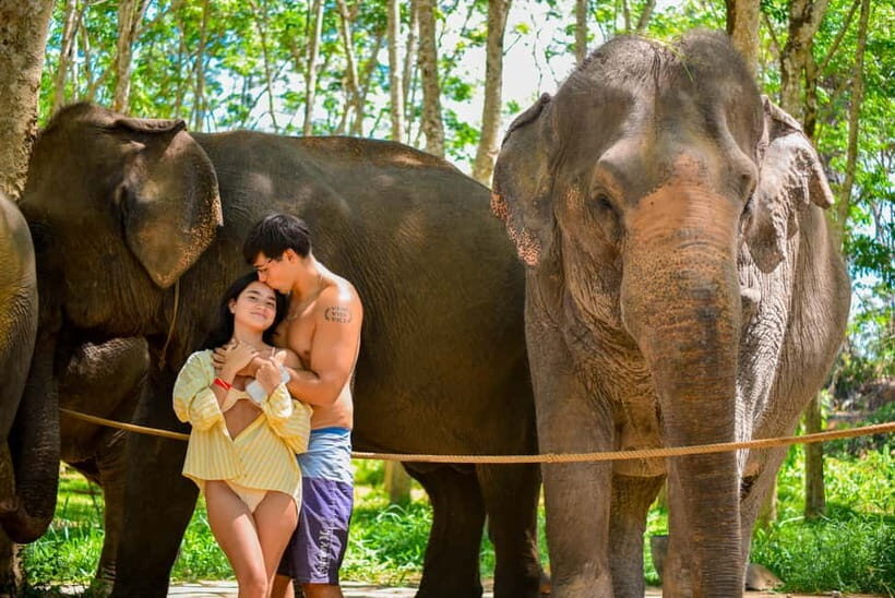 Phuket:Beach walk with elephants, rain & care. 2.5 hours - What To Expect: The Itinerary in Detail