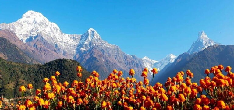 Pokhara: 4-Day Ghorepani, Poonhill & Ghandruk Mountain Trek - Highlights That Make This Trek Special
