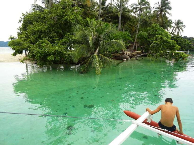 Port Barton: Island Hopping to Turtle Spot & Reef with Lunch - The Value of This Tour
