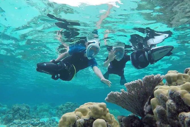 Premium Catamaran Afternoon Sail: Snorkeling and Lunch - An In-Depth Look at the Aruba Catamaran Experience