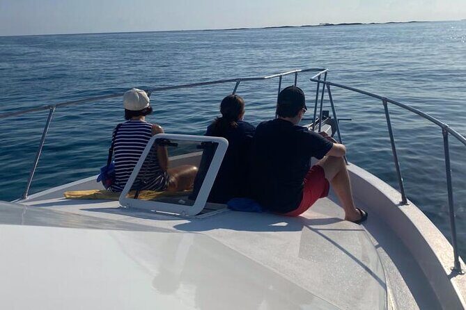 Private 38' Defender Sportfishing/Swim with Pigs in Nassau - Who Is This Tour Best Suited For?