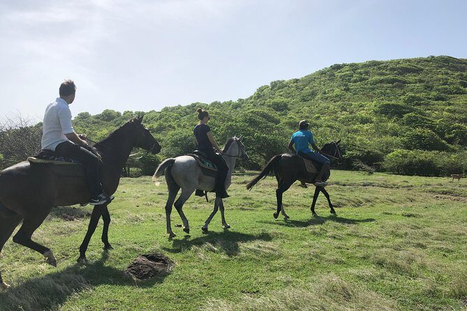 Private Advanced Horseback Beach Ride with Sandy Hoofs St. Lucia - What Makes the Ride Special?