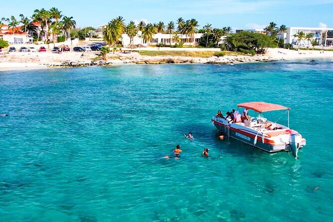 Private Aruba Snorkeling Excursion with Rum Punch - Why Choose This Tour?