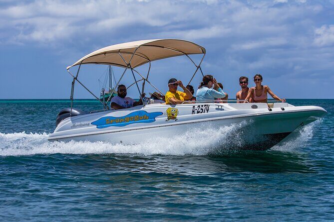 Private Boat Cruise with Snorkeling - Reviews and Real Experiences