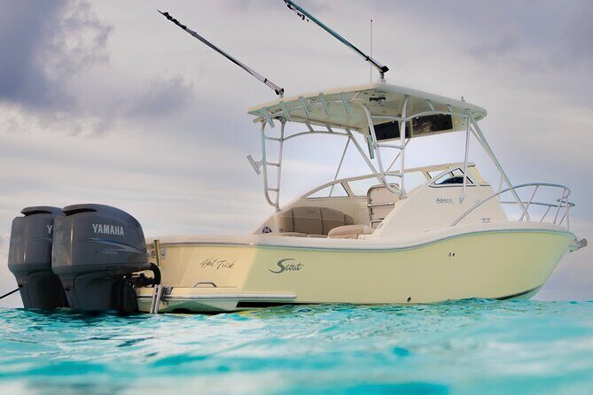 Private Boat Tours: Customize Your Grand Cayman Adventure! - Who Is This Tour Best For?