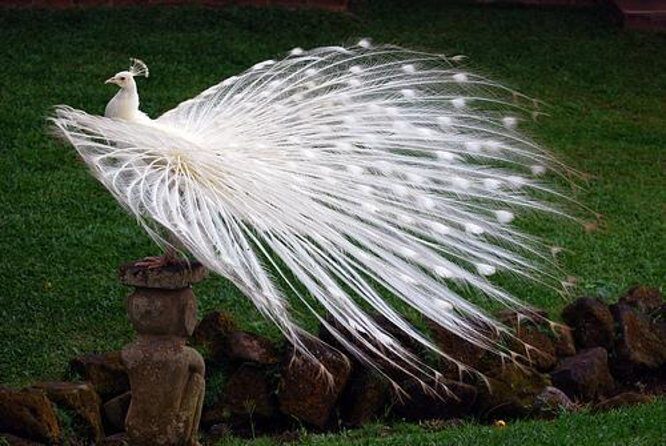 Private Custom Tour: 10-hour Best of Bali Tour - Who Will Love This Tour?