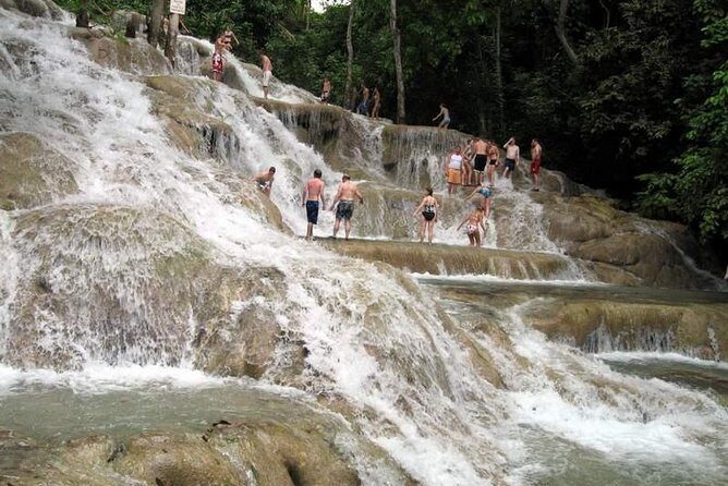 [PRIVATE] Dunn's River Falls with Entrance Fees - An In-Depth Look at the Tour
