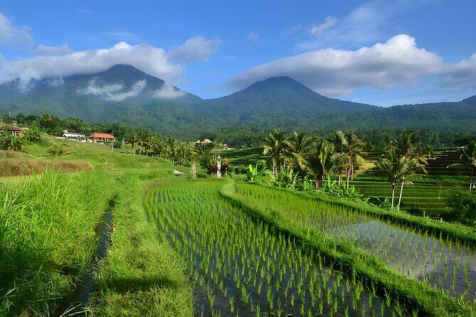 Private Full-Day Tour: Ulun Danu Beratan Temple, Jatiluwih and Tanah Lot Temple - The Reviews Speak Volumes