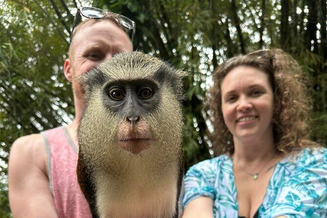 Private Guided Grenada Island Tour "BY THE HOUR" - What Travelers Say