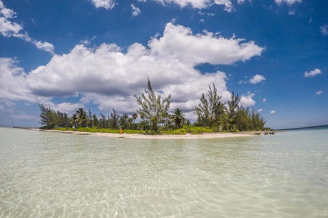 Private, luxury, custom charters to Stingray City, Snorkeling & More - What Makes This Tour Special?
