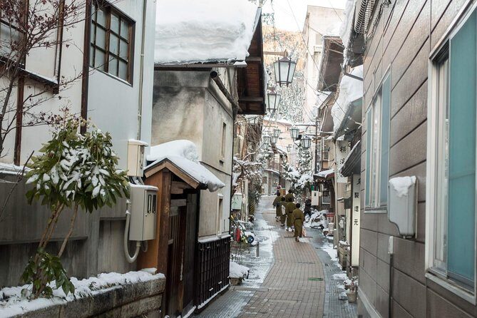 Private Nagano 1-Day Tour:Snow Monkeys,Zenko-ji,Obuse,Sake,Onsen - What the Reviews Say