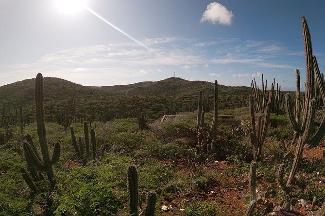 Private nature tour: Aruba's highest point & pristine coral reef - What’s Included and What’s Not