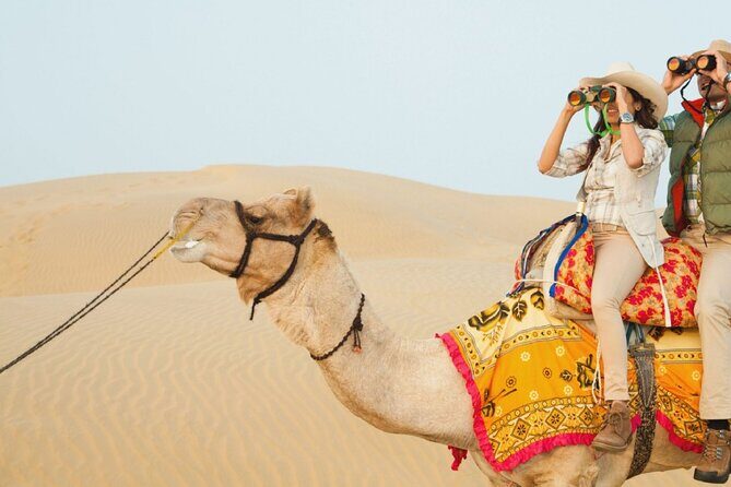 Private Overnight Safari Tour with Camel Ride - What the Reviews Say