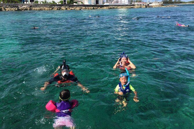 Private Rose Island, Swimming Pigs, Snorkeling and Turtles - Final Thoughts: Who Should Consider This Tour?