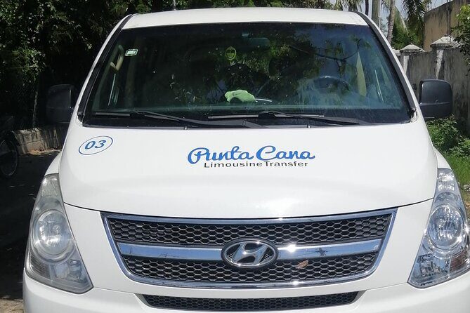 Private Round Trip Airport Transfer Bavaro Hotels - What to Expect: From Arrival to Departure