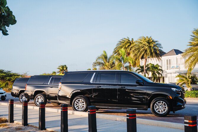 Private Round - Trip Airport Transfer in Aruba Luxury SUV - Who Should Book This Transfer?