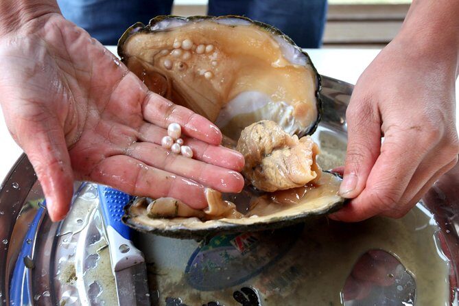 Private Shanghai Shopping Tour with Local Shopping Guru - A Closer Look at the Itinerary and What to Expect