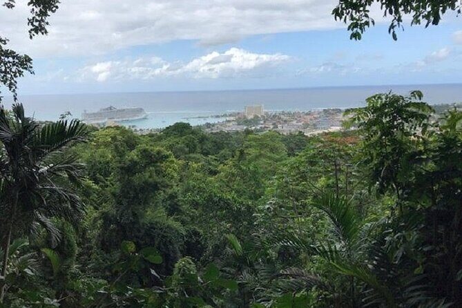 Private Sightseeing Tour in & Around Ocho Rios - Detailed Breakdown of the Itinerary